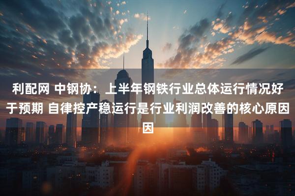 利配网 中钢协：上半年钢铁行业总体运行情况好于预期 自律控产稳运行是行业利润改善的核心原因